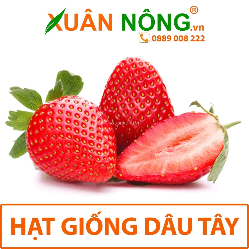 Công Ty TNHH Đầu Tư Và Phát Triển Nông Nghiệp Xuân Nông