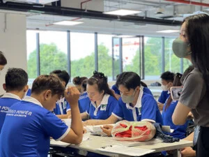 Cung ứng Lao Động Human Power – Công Ty TNHH Cung ứng Lao Động Human Power