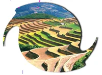 Công Ty TNHH Thương Mại Và Du Lịch Hành Trình Xanh