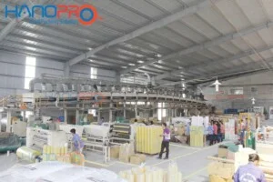 Bao Bì Đóng Gói Hanopro – Công Ty TNHH Hanopro (Việt Nam)