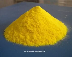 Công Ty Cổ Phần Trang Trọng