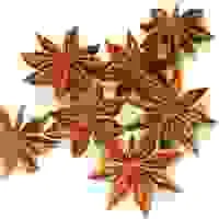 Xuất Nhập Khẩu Brigen – Công Ty TNHH Brigen