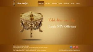 Công Ty TNHH TV Net