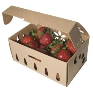 Bao Bì Carton BB Nguyễn – Công Ty TNHH BB Nguyễn