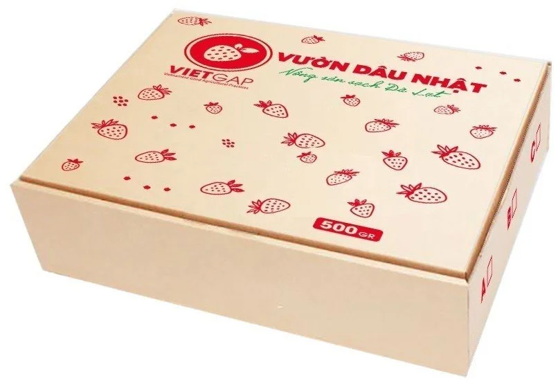 In Hoàng Duy – Công Ty TNHH Thương Mại Dịch Vụ In Hoàng Duy