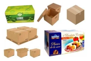 Thùng Carton Hòa Đường – Công Ty TNHH Hòa Đường