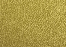 Da Bò Thuộc Italy – Công Ty TNHH ARICAMA