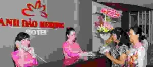 Công Ty Cổ Phần Nhà Hàng Khách Sạn Anh Đào Mekong