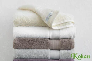 Công ty TNHH Kohan Việt Nam