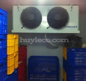 Kho Lạnh Huy Lê – Công Ty TNHH Thương Mại Dịch Vụ Kỹ Thuật Huy Lê