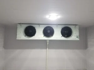 Điện Lạnh Thành Phát – Công Ty TNHH MTV Điện Lạnh Thành Phát