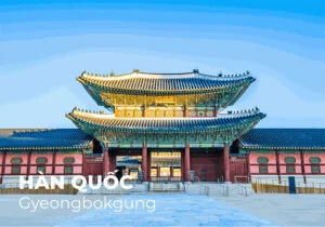 Tour Du Lịch Saigon Tourism – Công Ty CP DV Và Lữ Hành Quốc Tế Saigon Tourism