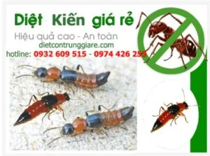 Diệt Côn Trùng Green House – Công Ty TNHH Thương Mại Dịch Vụ Green House