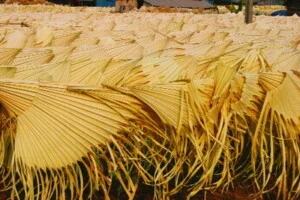 Túi Xách Thủ Công Mỹ Nghệ MILA – Cơ Sở Sản Xuất Túi Xách Thủ Công Mỹ Nghệ MILA