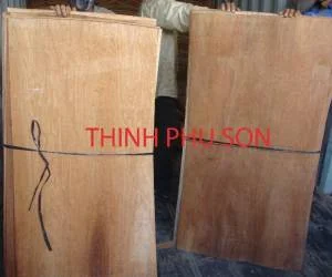 Ván ép Thịnh Phú Sơn – Công Ty TNHH Thịnh Phú Sơn