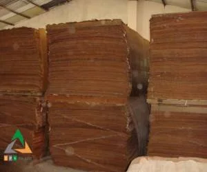 Ván ép Thịnh Phú Sơn – Công Ty TNHH Thịnh Phú Sơn
