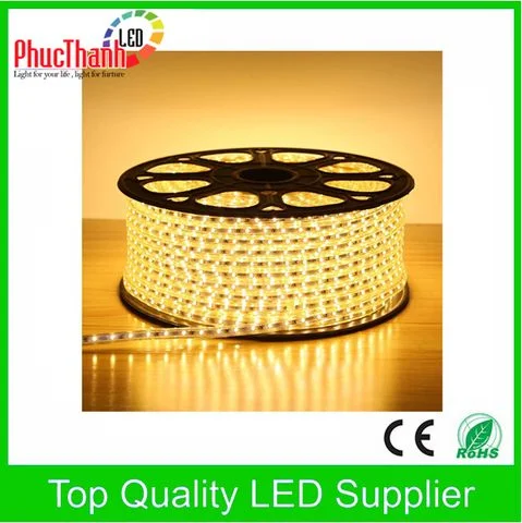 Đèn Chiếu Sáng NEWSTAR – Công Ty TNHH Thương Mại Dịch Vụ Đầu Tư XNK Phúc Thành