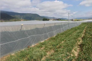 Công Ty Cổ Phần Dệt Kim Đại Tín