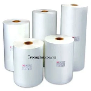 Bao Bì Trường Lâm – Công Ty TNHH Đầu Tư Và Thương Mại Trường Lâm