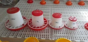 Dụng Cụ Chăn Nuôi Định Nghĩa – Công Ty TNHH Định Nghĩa