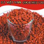 Công Ty TNHH Đầu Tư Và Phát Triển ICT Việt Nam