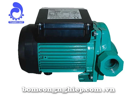 Chi Nhánh Phía Nam Công Ty Cổ Phần Đại Việt Trí Tuệ (Tp. Hà Nội)