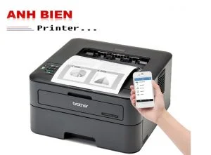 Công Ty TNHH Anh Biên