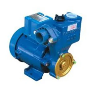 Công Ty TNHH Thương Mại Dịch Vụ Xuất Nhập Khẩu Đức Thịnh