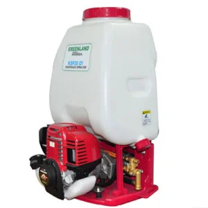 Công Ty TNHH Thương Mại Dịch Vụ Xuất Nhập Khẩu Đức Thịnh