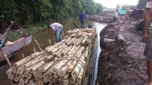 Gỗ Thanh Hòa – Công Ty TNHH Thanh Hòa