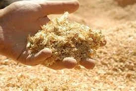 Cơ Sở Củi Trấu An Đạt