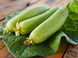 Hợp Tác Xã Sản Xuất Và Tiêu Thụ Rau An Toàn Bắc Hồng