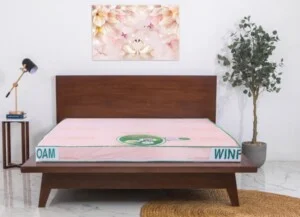 Nệm Tân Thăng Phú – Công Ty TNHH Sản Xuất Thương Mại Nệm Tân Thăng Phú