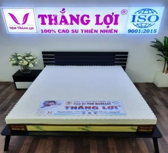Nệm Thắng Lợi – Công Ty Nệm Thắng Lợi