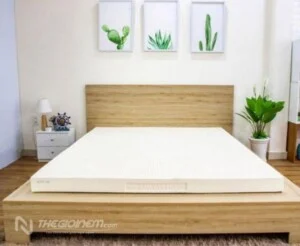 Công Ty TNHH Thương Mại Dịch Vụ Tam Tài Nhân