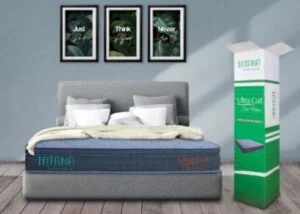 Công Ty TNHH Thương Mại Dịch Vụ Tam Tài Nhân