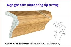Phào Chỉ Thiện Linh – Công Ty TNHH Dịch Vụ & Phát Triển Thiện Linh
