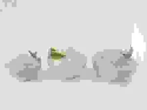 Hạt Nhựa Phân Hủy Sinh Học Biostarch – Công Ty TNHH Biostarch