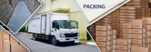Công Ty Cổ Phần May Mặc K.ziel