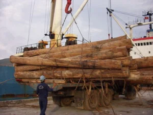 Gỗ Thanh Hòa – Công Ty TNHH Thanh Hòa