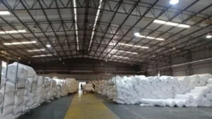 Công ty TNHH Shinih Việt Nam – Chi Nhánh Hà Nội