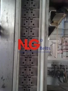 Công Ty TNHH Thương Mại Dịch Vụ Nguyễn Lưu Gia