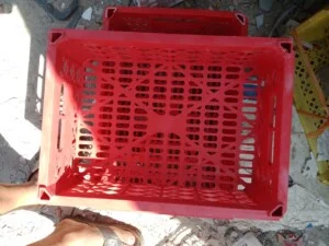 Nhựa PP Hoàng Giao