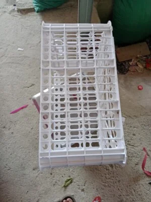 Nhựa PP Hoàng Giao