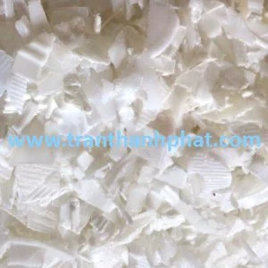 Công Ty TNHH Một Thành Viên Thương Mại Trần Thành Phát