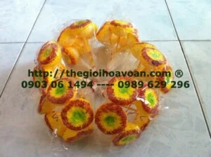 Shop Thế Giới Hoa Voan