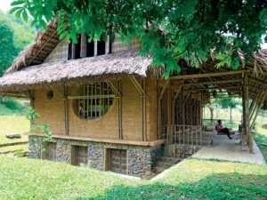 Công Ty TNHH Phát Triển Thảo Vinh