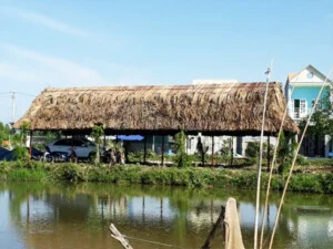 Công Ty TNHH Phát Triển Thảo Vinh