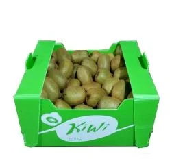 Nhựa Danpla & Mút Xốp – Công Ty TNHH CHUSAN VIệT NAM