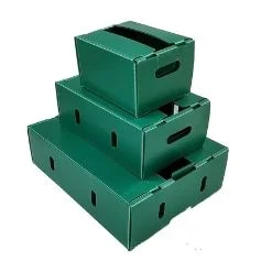 Nhựa Danpla & Mút Xốp – Công Ty TNHH CHUSAN VIệT NAM